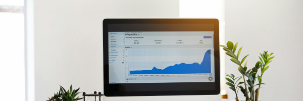 accounting services - auditing