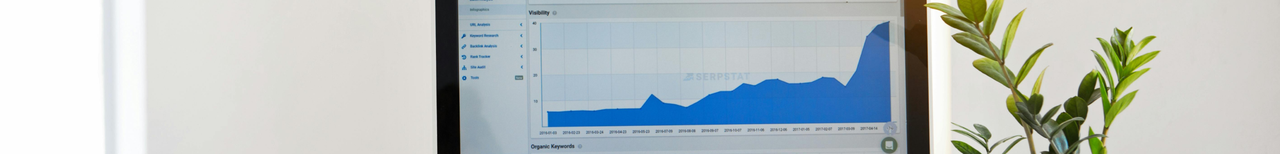 Accounting Services in São Paulo Brazil